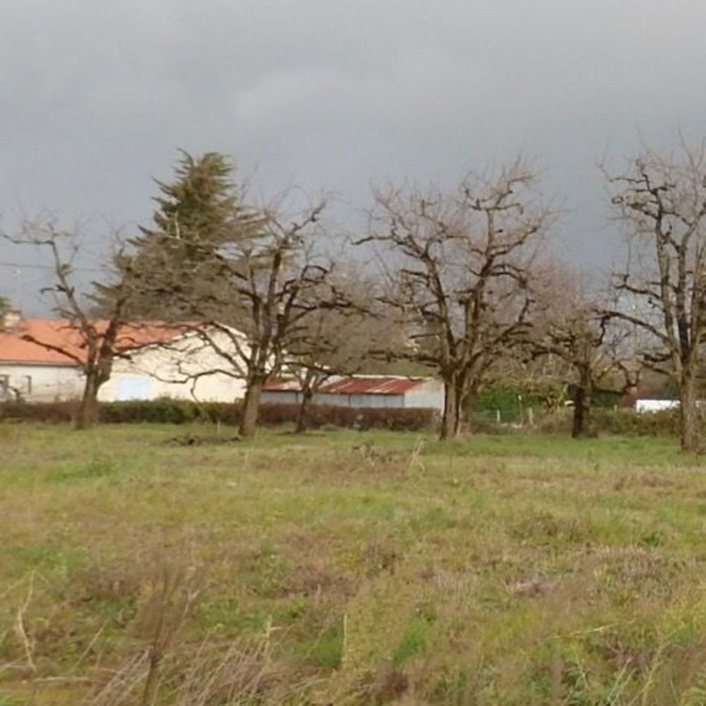   Saint-Pierre-sur-Dropt (47120)