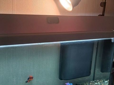 Aquarium aquadisio + meuble complet 150 93320 Les pavillons-sous-bois