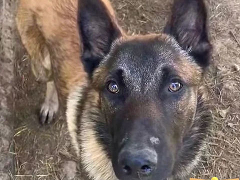 Usko 230 26700 Pierrelatte