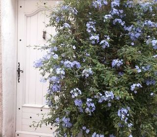  Maison � vendre 5 pi�ces 95 m� Cuers