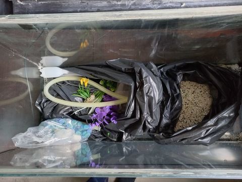 Aquarium 100L d occasion 25 63000 Clermont-ferrand