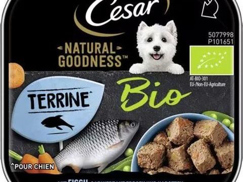CESAR natural Godness terrine Bio 30 77176 Nandy