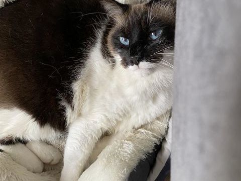 Otiss 170 44000 Nantes