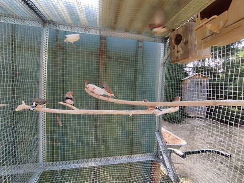 mandarins 8 40500 Eyres-moncube