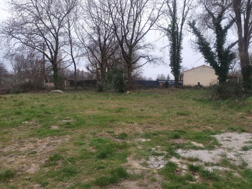   Saint-Laurent-d'Arce (33240)