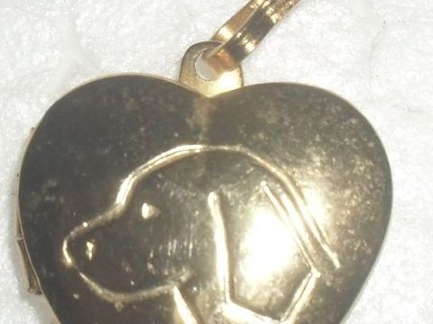 M&eacute;daille dor&eacute;e Identit&eacute; pour chien. 12 93100 Montreuil