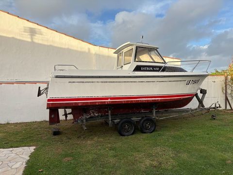 Bateaux &agrave; moteur P&ecirc;che-promenade 1988 occasion La Gu&eacute;rini&egrave;re 85680
