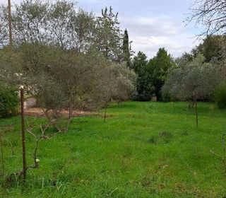  Terrain � vendre 515 m�