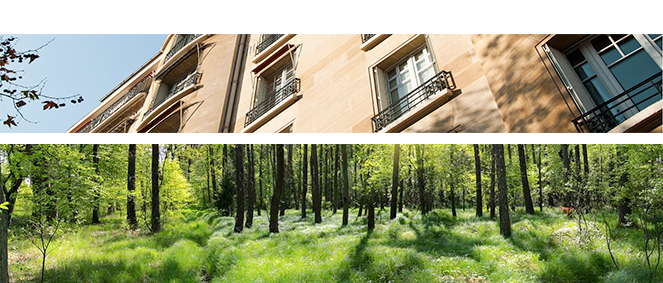 Agence MAITRES FRANCOIS DARMET ET CYRIL AMBROSIANO Lagnieu