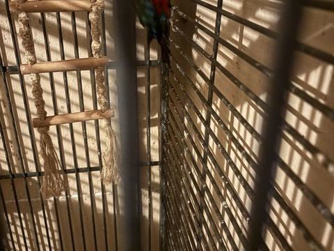 Conure eqm 250 30900 Nimes