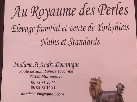 Yorshire 300 31370 Sabonnères