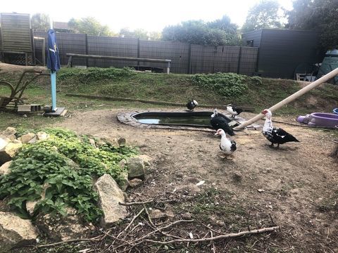 canard dindes 15 44600 Saint-nazaire