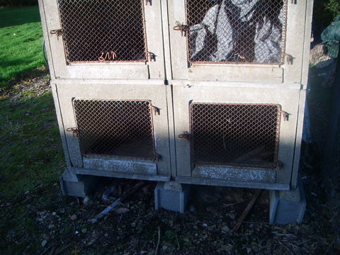 clapier &agrave; lapin 50 50160 Saint-amand