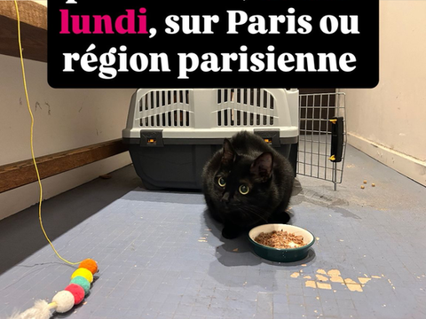 MINETTE 0 75018 Paris