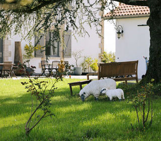  H�tel Particulier � vendre 12 pi�ces 410 m�