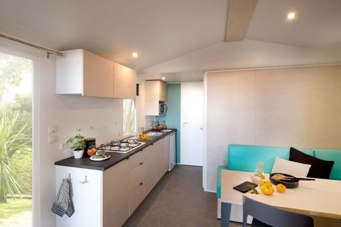 Mobil-Home Mobil-Home 2018 occasion Les Olli&egrave;res-sur-Eyrieux 07360