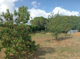  Terrain � vendre 1000 m�