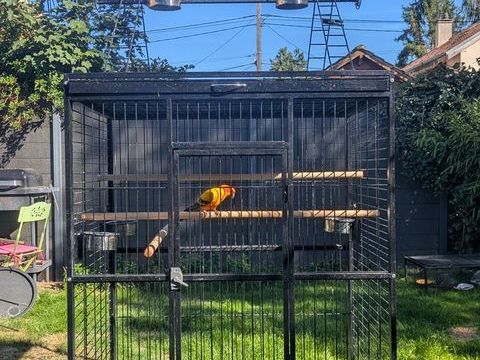 Cage perroquet 240 78940 La queue-les-yvelines