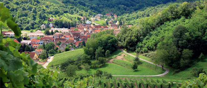 Agence IMMOBILIER COTE BRESSE Cuisia