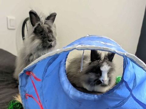 Kissa  & Devine 340 44000 Nantes