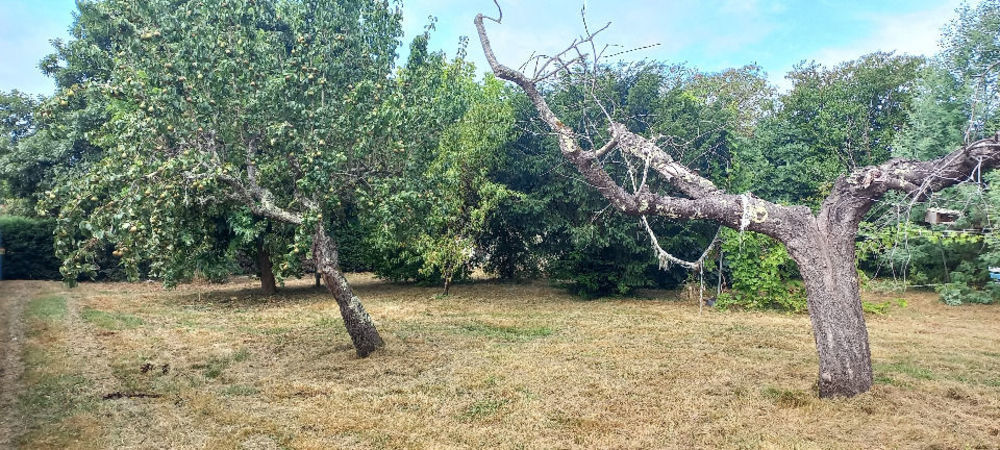 Maisons neuves   Montpon-M�nest�rol (24700)