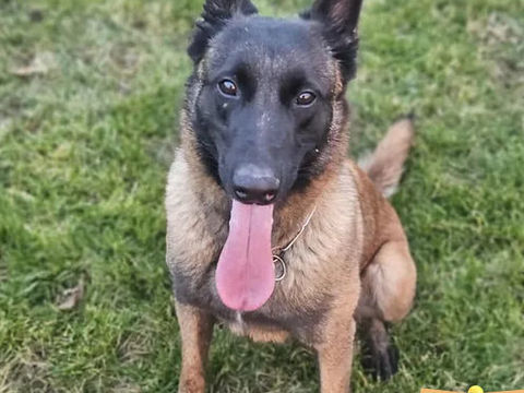 Bella malou 230 26700 Pierrelatte