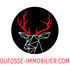 DUFOSSE IMMOBILIER - Tassin-la-Demi-Lune