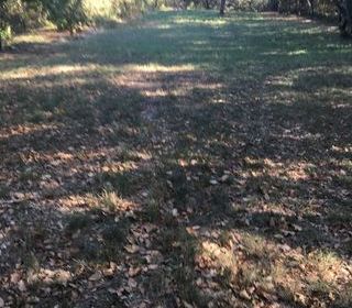  Terrain � vendre 4963 m�