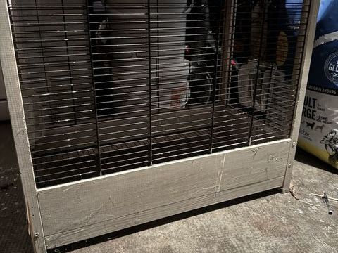 Cage pour oiseau 10 93330 Neuilly-sur-marne