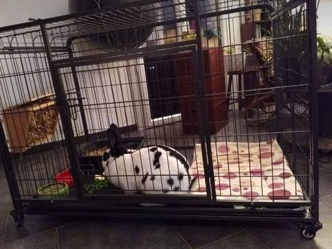 Cage pour lapins 300 45230 La bussi�re