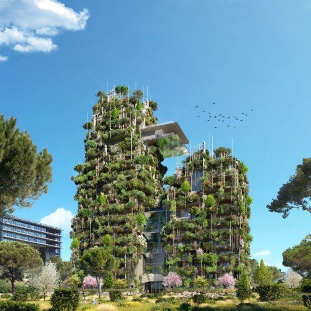 Appartements neufs   Montpellier (34000)