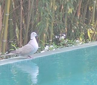  Villa � louer 5 pi�ces 150 m�