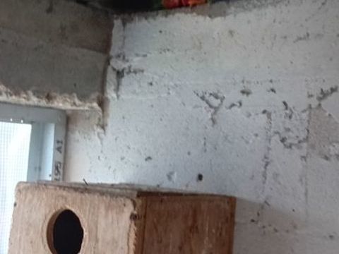 Ins&eacute;parable Fischer 50 94450 Limeil-br�vannes