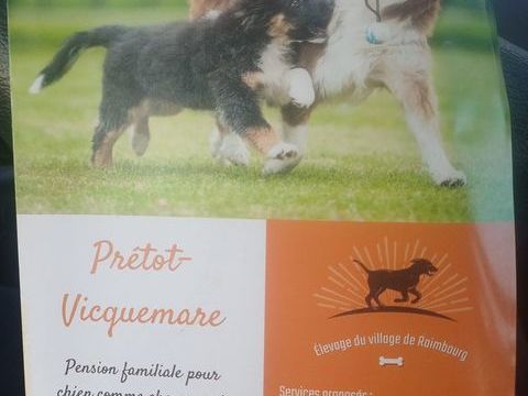Garde de chien 15 76560 Pr�tot-vicquemare