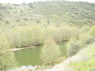 Location  Maison - Villa 