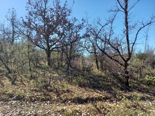  Terrain � vendre 8000 m�