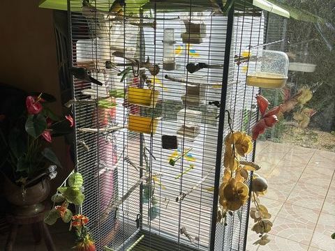 Vent+voli&egrave;re+plus+oiseaux+ 250 21121 �taules
