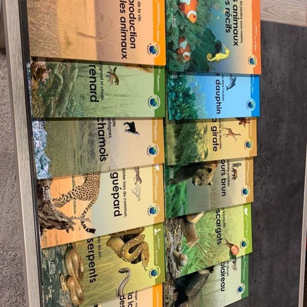 Atlas junior Livres et BD