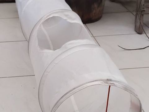 Tunnel pour amuser les chats 10 97300 Cayenne