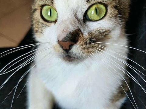 Lilo 190 59000 Lille