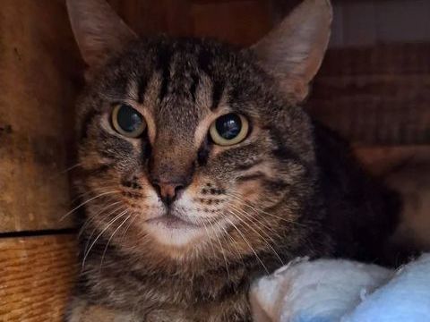 Lugia 200 26700 Pierrelatte