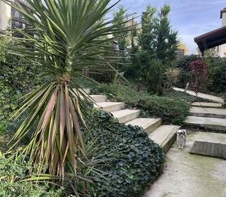  Maison � vendre 6 pi�ces 118 m�