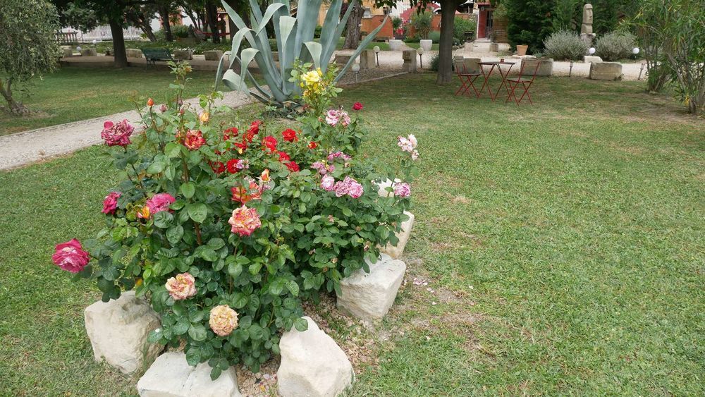 � vendre  Propri�t�/ch�teau Tarascon (13150)