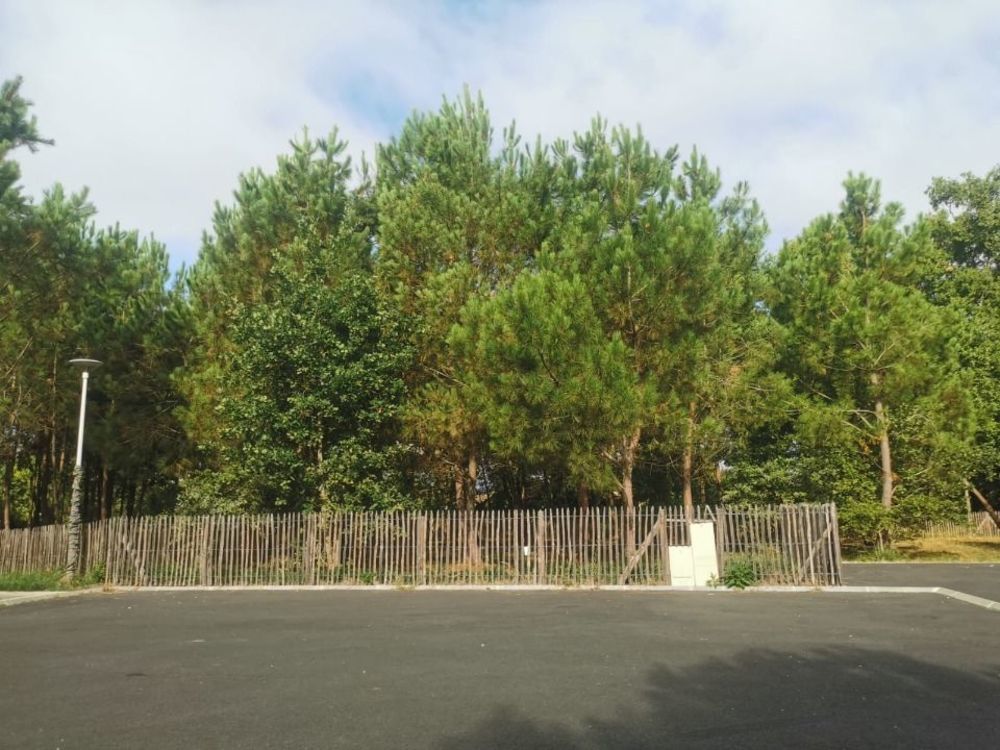 Maisons neuves   Le Porge (33680)