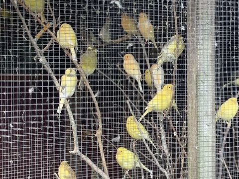 Canaris 25 14400 Bayeux