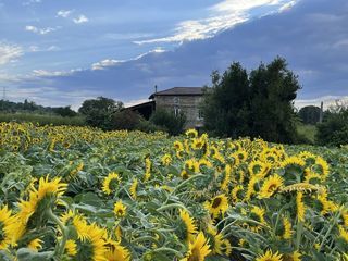  Maison � louer 6 pi�ces 117 m�