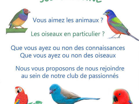 Club D'oiseaux. 0 91580 �tr�chy