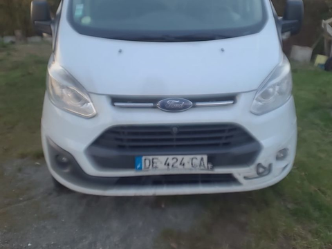 Ford Transit Custom TRANSIT CUSTOM FOURGON 290 L2H2 2.2 TDCi 125 LIMITED 2014 occasion Villevoques 45700