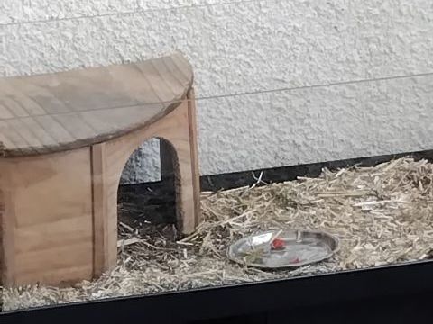 Terrarium 80 13090 Aix-en-provence