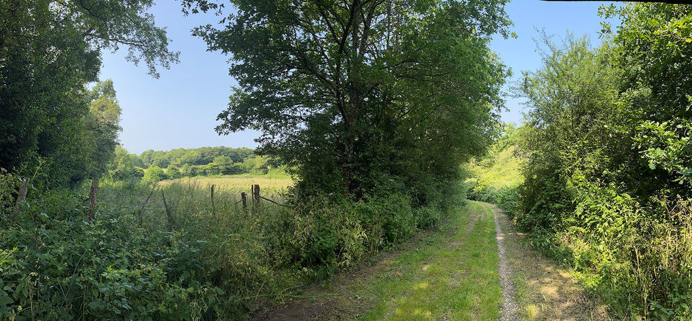   Vigneux-de-Bretagne (44360)